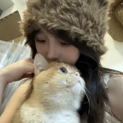 兔子谜题