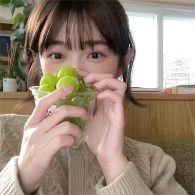 哈啰！毛小孩