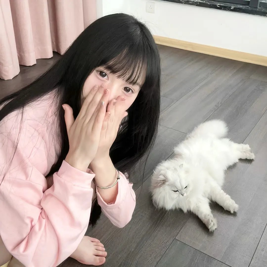 犯罪101
